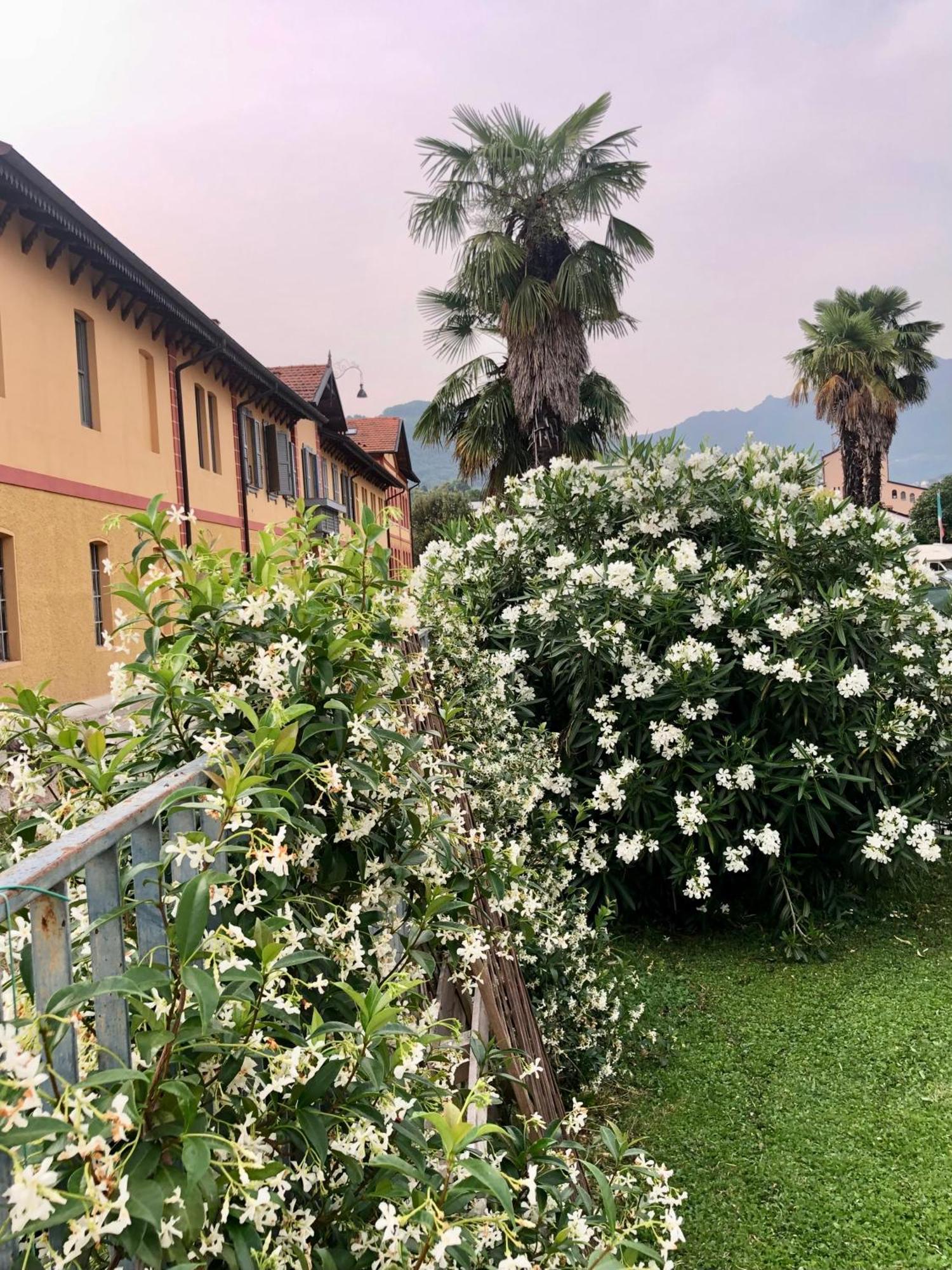 Roggia Maestra B&B Schio Exterior photo